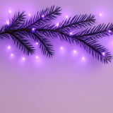 Pisca-Pisca 100L Led Lilás 8 Funções 127V