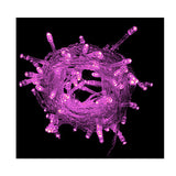 Anúncio Pisca Pisca Led Decoração De Natal 100 Luzes 8 Funções