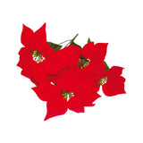 Flor De Natal Vermelha