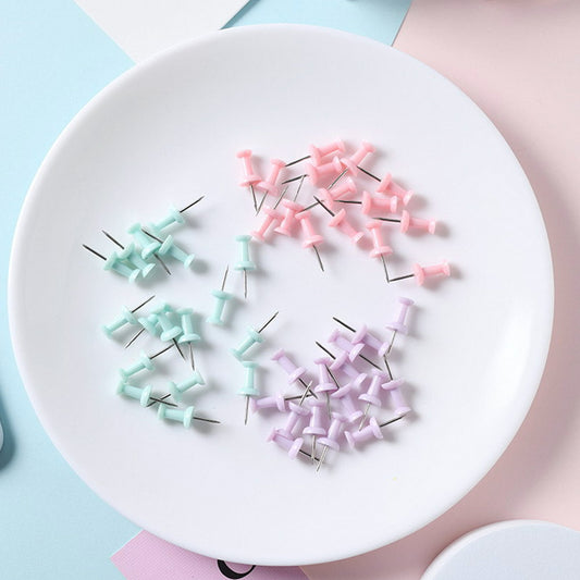 Alfinete Tachinha Para Quadro Mapa