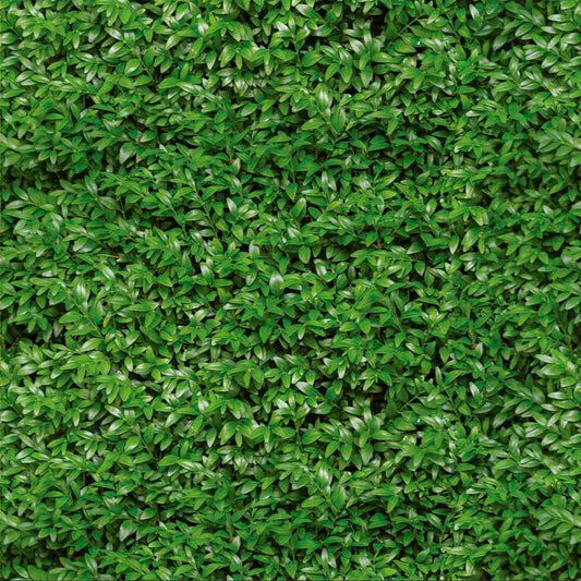 Papel De Parede Jardim Vertical Autoadesivo 5 Metros