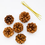 Enfeite De Natal Pinha Natural/Nevada/Dourada Decorativa Com 6 - 5cm